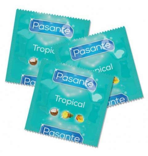 Pasante Tropical Flavor Bulk Pack (1op./144szt.) Pasante Tropical Flavor Bulk Pack (1op./144szt.)