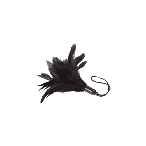 Adrien Lastic Feather Tickler Black - Prestiżowe Pióra