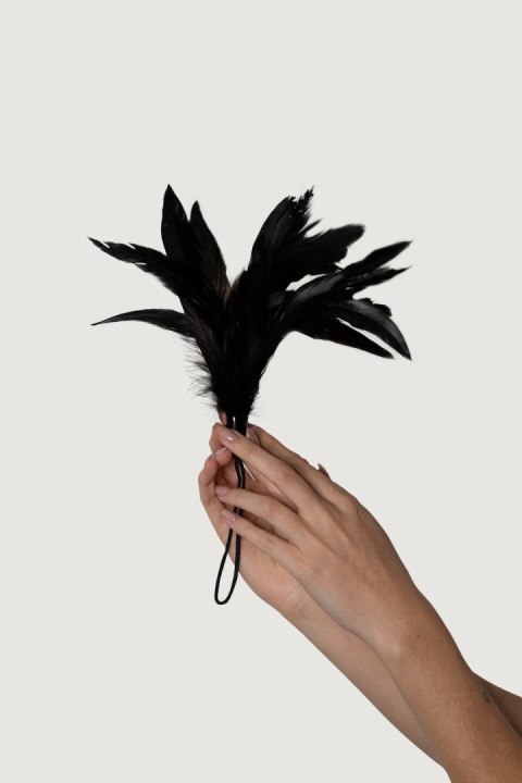 Adrien Lastic Feather Tickler Black - Prestiżowe Pióra