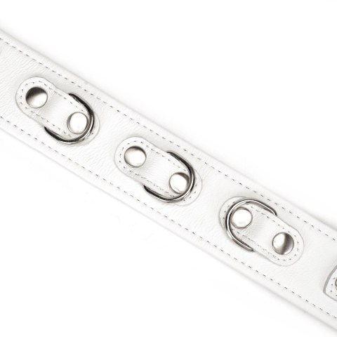 Liebe Seele obróżka ze smyczą Fuji White Collar with Leash