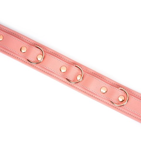 Liebe Seele obróżka ze smyczą Pink Dream Collar with Leash