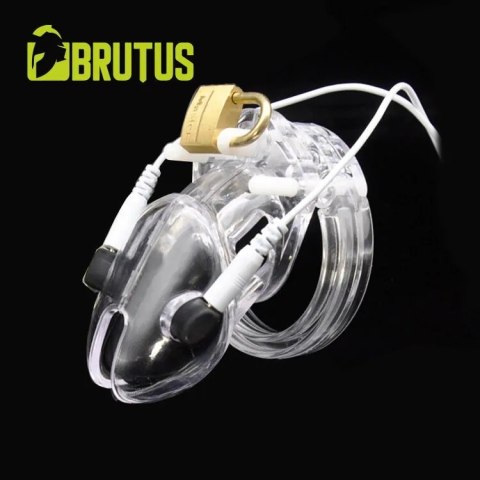 Pas cnoty Volt Cage Electro Chastity Cage Clear Brutus