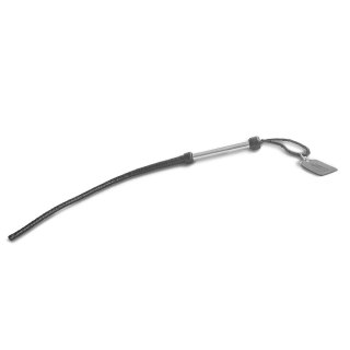 Pejcz The Beast Whip Brutus