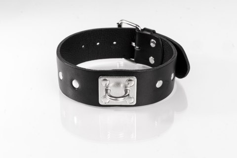 Obroża z ćwiekami czarna S Primal Bond Whips