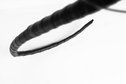 Świński ogon Primal Bond Whips