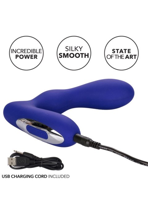 Wibrator analny Eclipse Pleasure Probe Blue