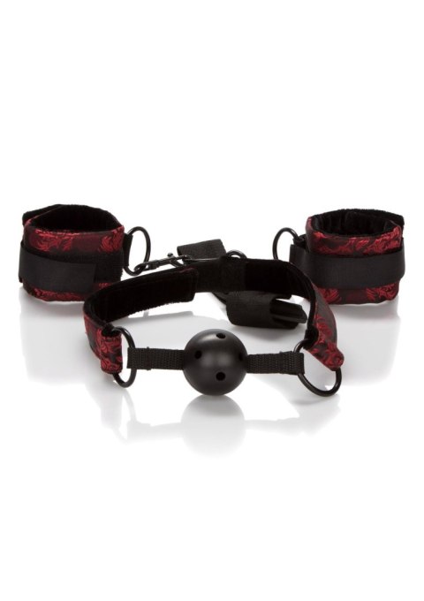 Knebel do ust SCALA z kajdankami black
