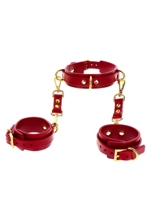 Kajdanki z obrożą Taboom D-Ring red
