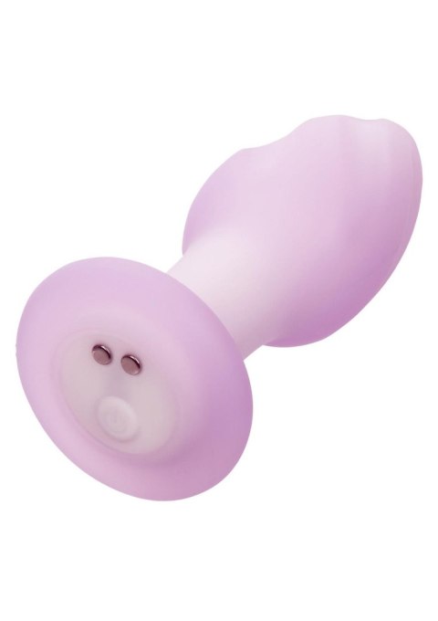Korek analny z wibracjami Lavender Haze Ridge Purple