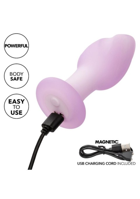 Korek analny z wibracjami Lavender Haze Ridge Purple