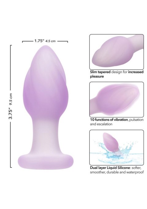 Korek analny z wibracjami Lavender Haze Ridge Purple