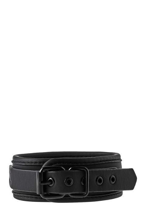 Obroża ze smyczą BLAZE + łańcuch black