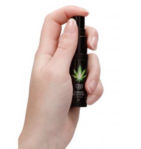 Shots CBD Cannabis Delay Spray 15 ml