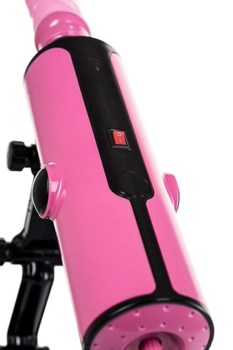 Pink Punk Sex machine