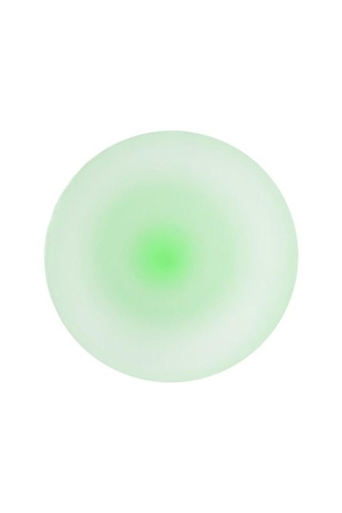 Korek analny TOYFA świecący w ciemności green