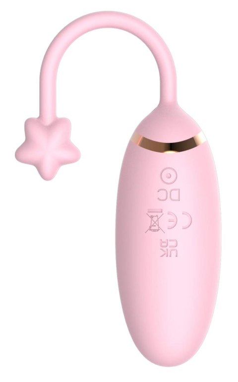Lovesecret Premium Love Egg App Function